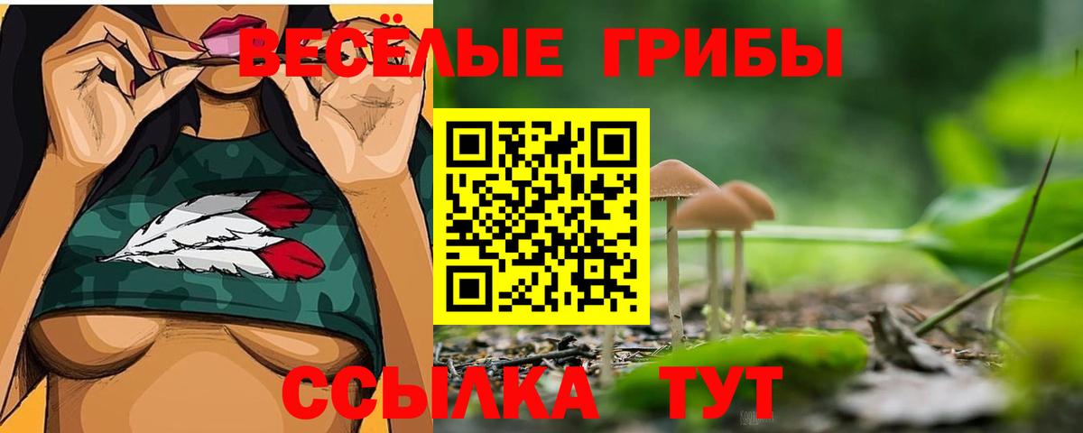 Гашиш  МЕФ  MDMA  Лсд 25  Тула  Меф   Вход с VPN 