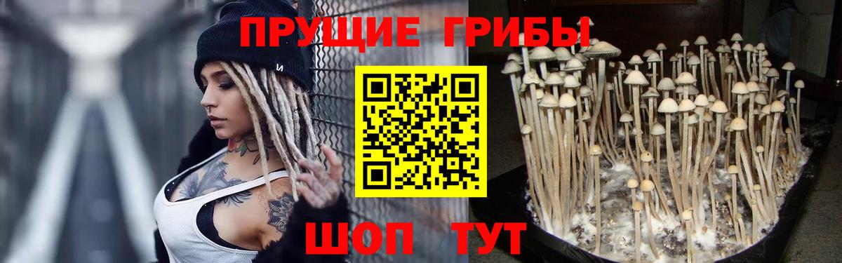 Галлюциногенные грибы Cubensis  Галлюциногенные грибы Psilocybine cubensis  Вход с VPN  Тула 
